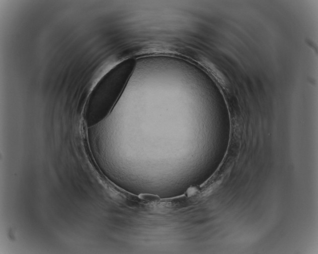 X0000096940893200803071003