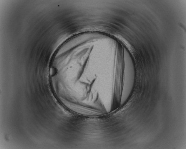 X0000096940894200803071003