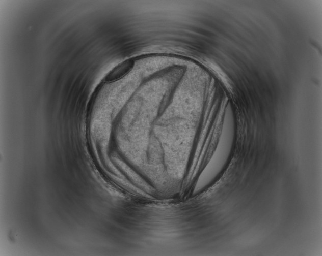X0000096940896200803071003