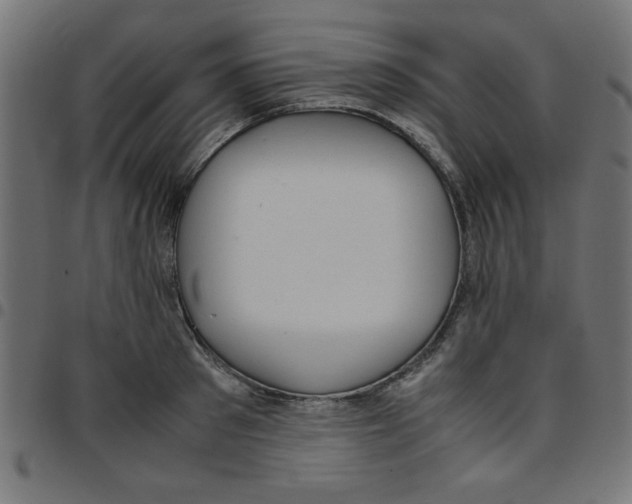 X0000096940897200803071003