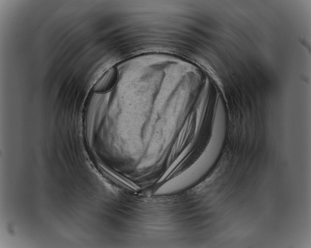 X0000096940898200803071003