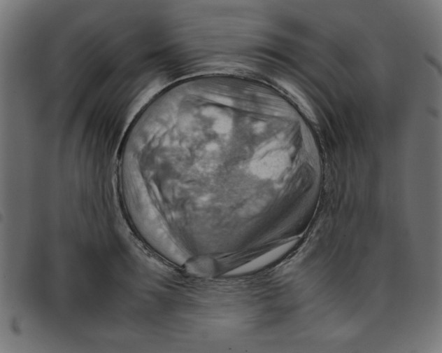 X0000096940899200803071003