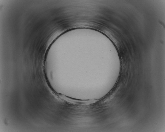 X0000096940901200803071003