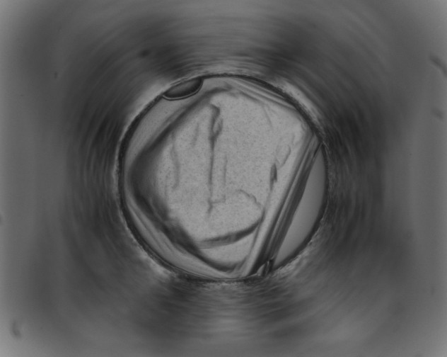 X0000096940902200803071003