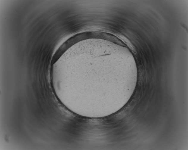 X0000096940904200803071003