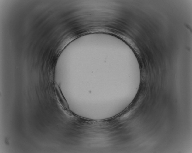 X0000096940905200803071003