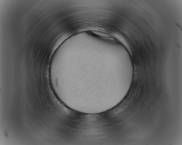 X0000096940906200803071003