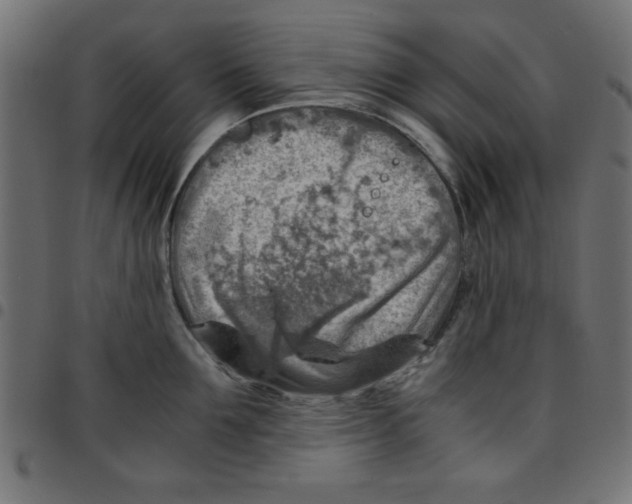 X0000096940907200803071003