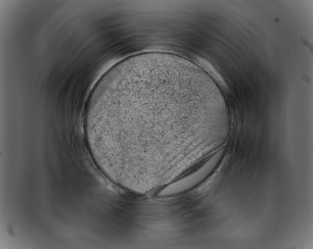 X0000096940908200803071003
