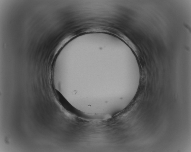 X0000096940909200803071003