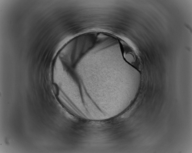 X0000096940910200803071003