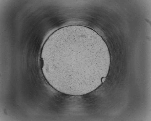 X0000096940912200803071003