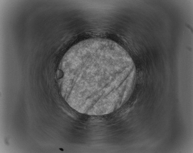 X0000096940913200803071002