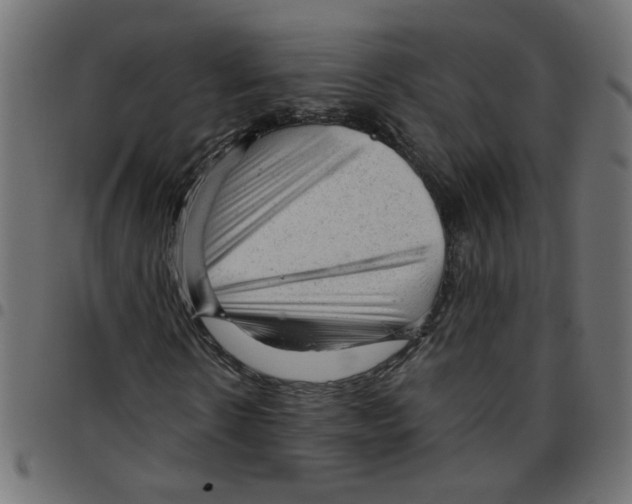 X0000096940914200803071002