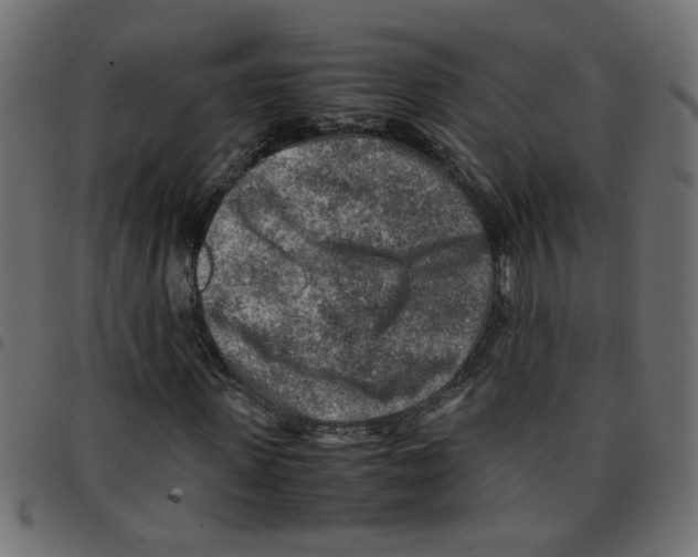 X0000096940915200803071002