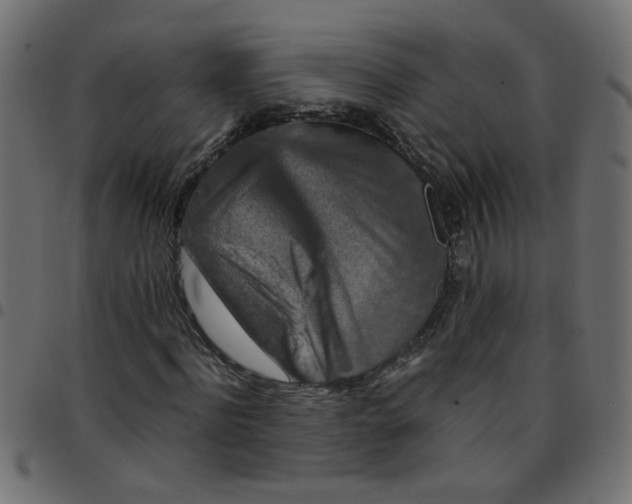 X0000096940916200803071002