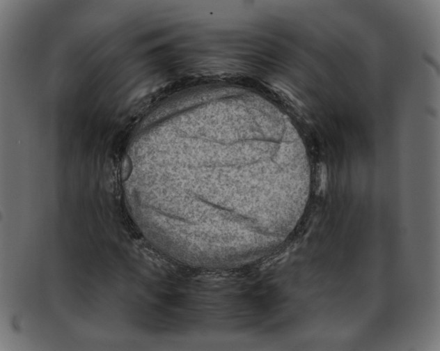 X0000096940917200803071002