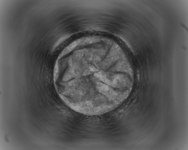 X0000096940919200803071003