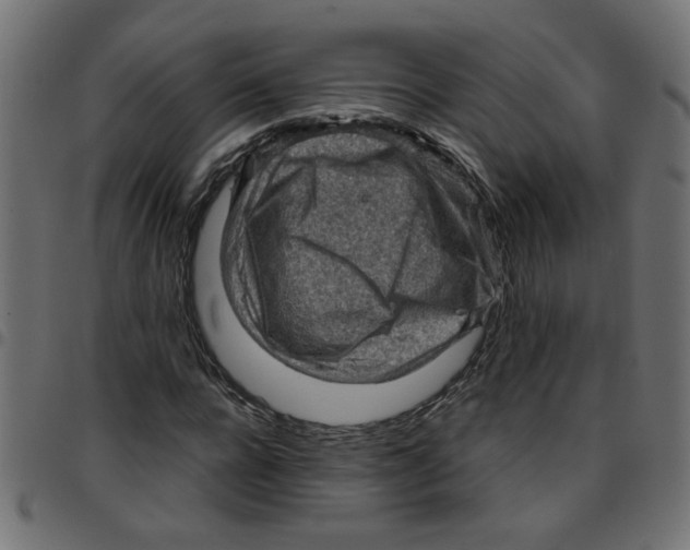 X0000096940920200803071003