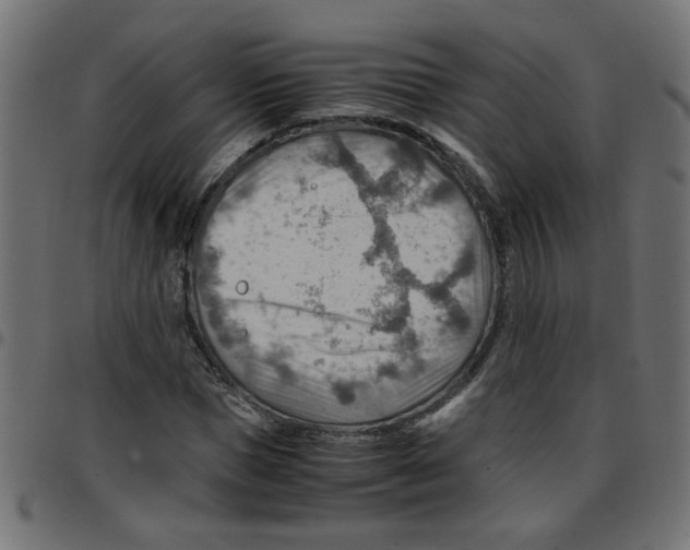 X0000096940921200803071003