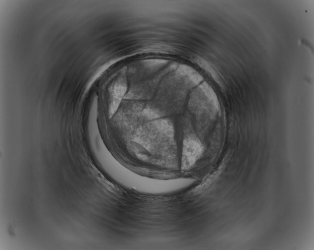 X0000096940923200803071003