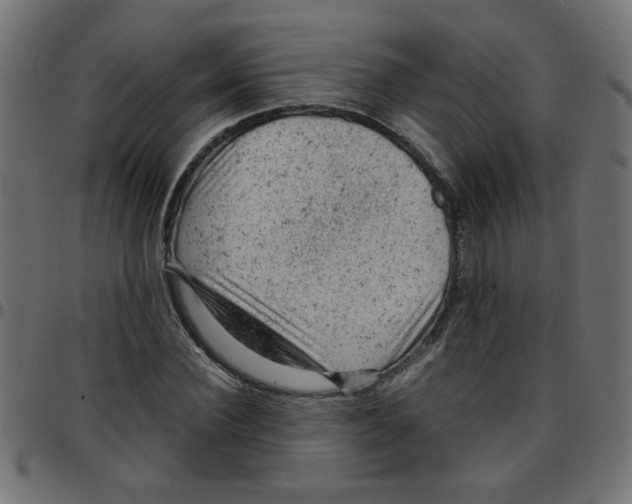 X0000096940924200803071003