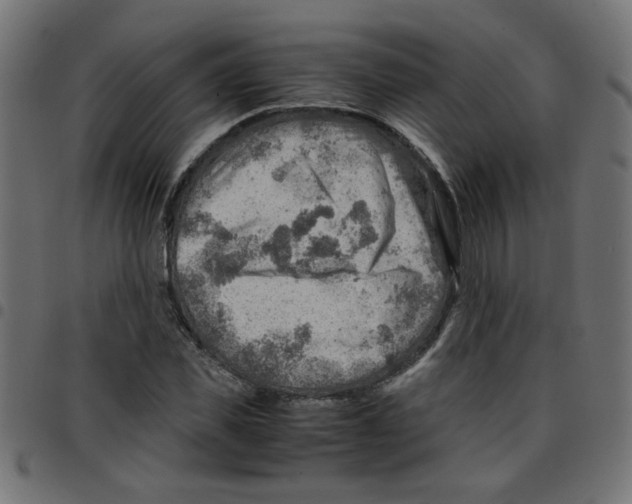 X0000096940925200803071003