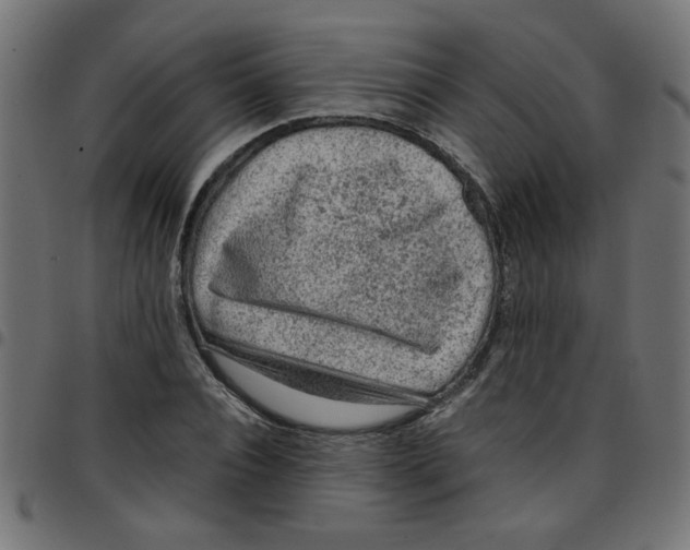 X0000096940928200803071003
