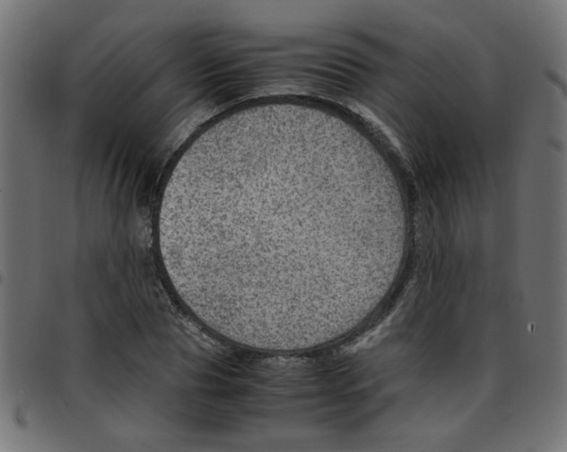 X0000096940929200803071003