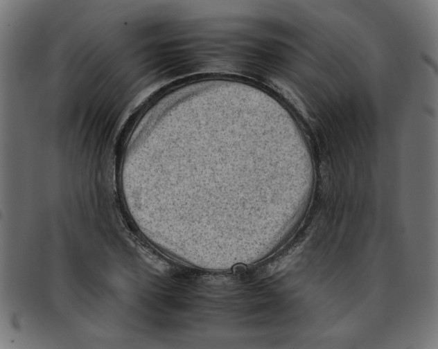X0000096940931200803071003