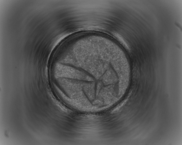 X0000096940932200803071003