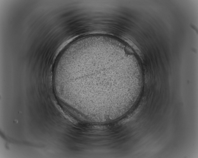 X0000096940933200803071003