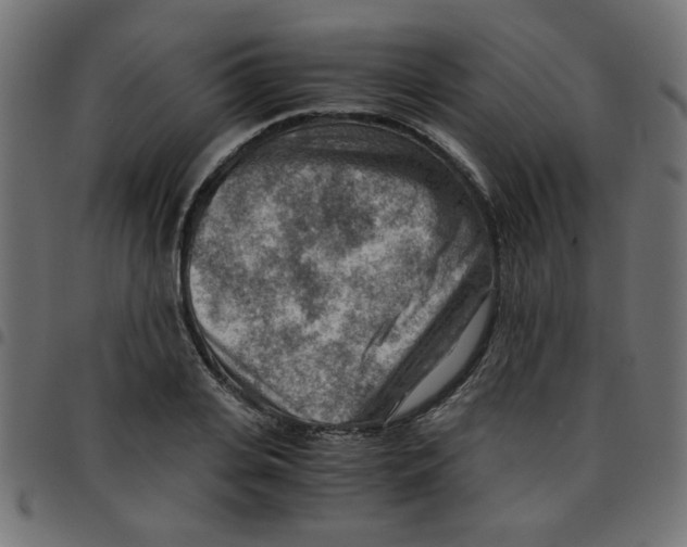 X0000096940935200803071003