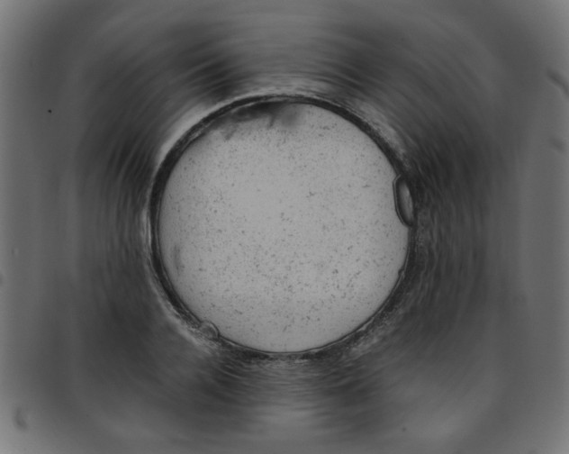 X0000096940936200803071003