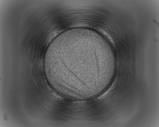 X0000096940937200803071003