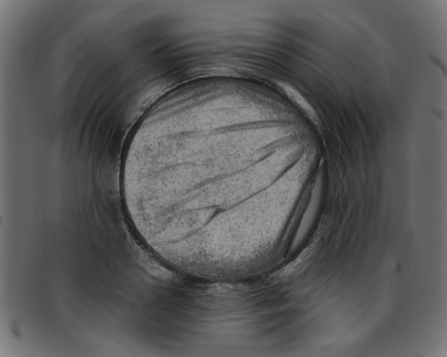 X0000096940938200803071003