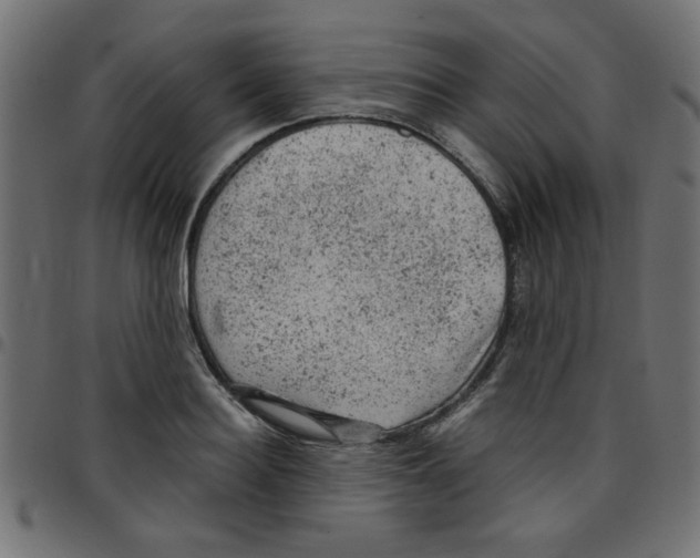 X0000096940940200803071003