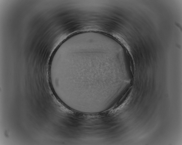 X0000096940941200803071003