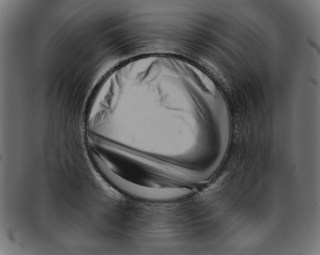X0000096940942200803071003