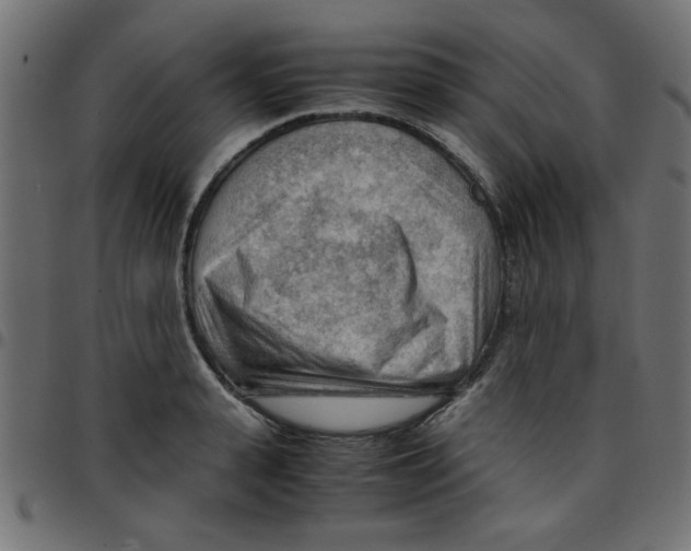 X0000096940943200803071003