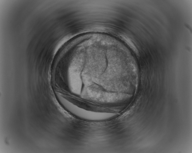 X0000096940944200803071003