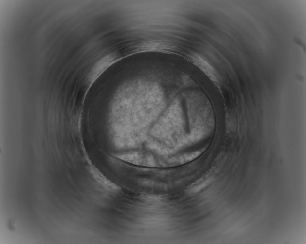 X0000096940946200803071003