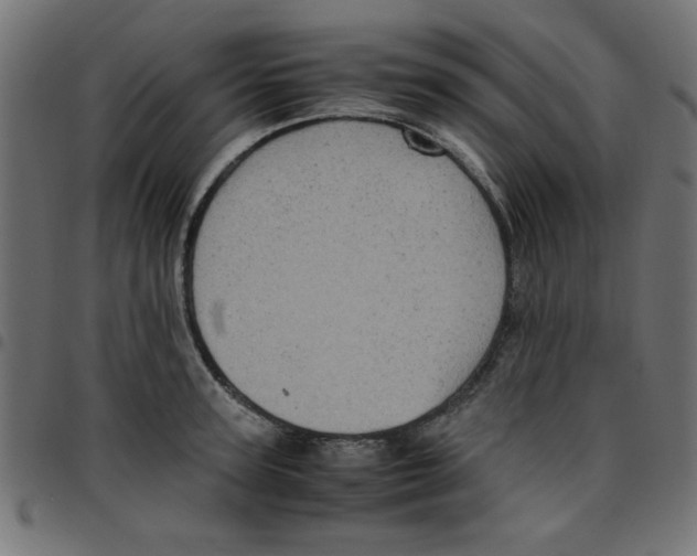 X0000096940947200803071003