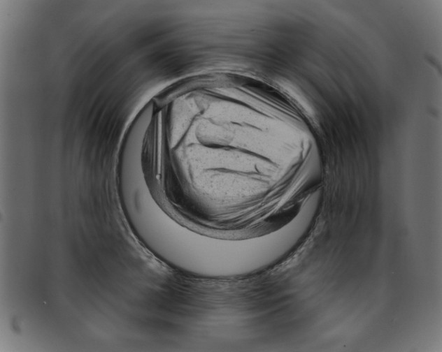X0000096940948200803071003