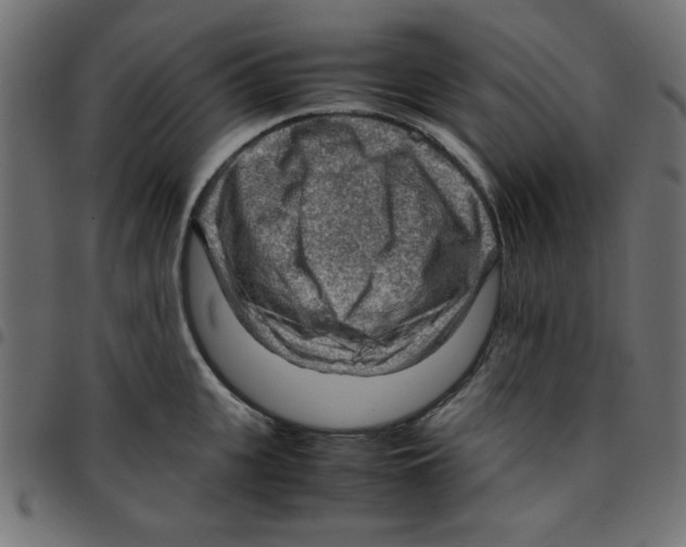 X0000096940951200803071003
