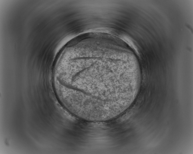 X0000096940952200803071003
