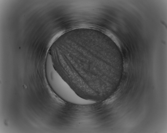 X0000096940954200803071003