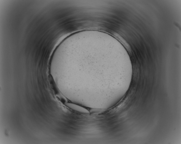 X0000096940956200803071003