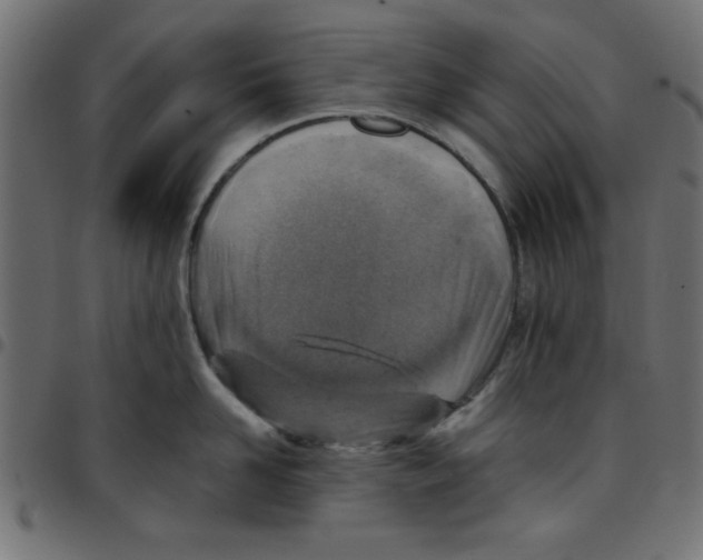 X0000096940958200803071003