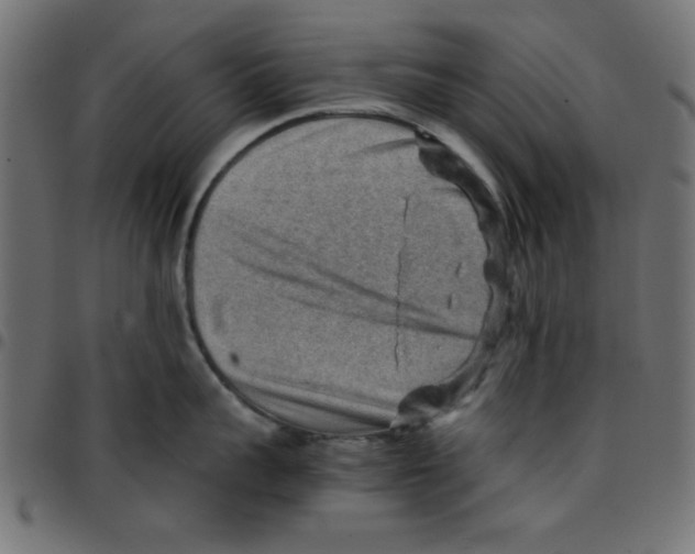 X0000096940959200803071003